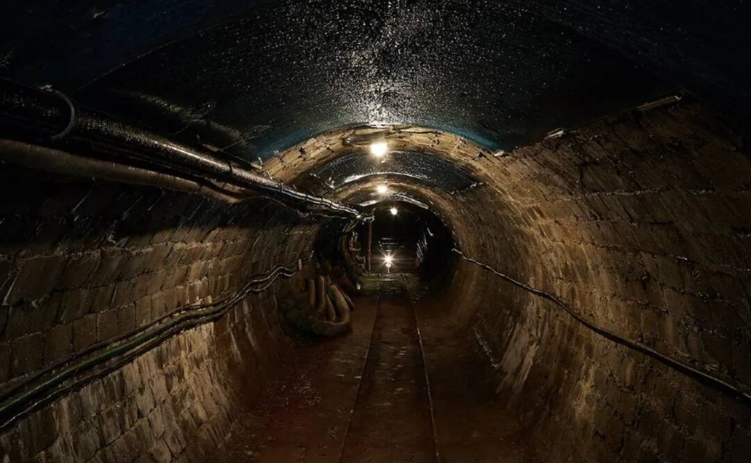 Imagen ilustrativa. Foto: Unsplash