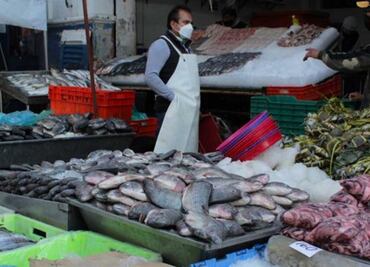 Alcaldía Tlalpan y Sedeco implementarán caravana de productos del mar a bajo costo