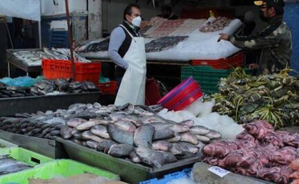 Alcaldía Tlalpan y Sedeco implementarán caravana de productos del mar a bajo costo