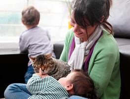 La mejor forma de alimentar a tu gato, según veterinarios