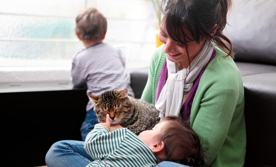 Foto: Cortesía Whiskas