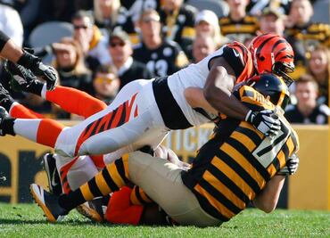 ASF: Los picks de la semana 14