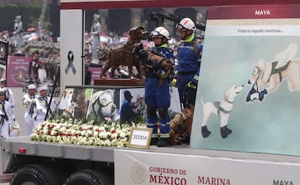 "¡Frida, tu legado continúa!": Recuerdan a perrita rescatista de la Marina en desfile militar