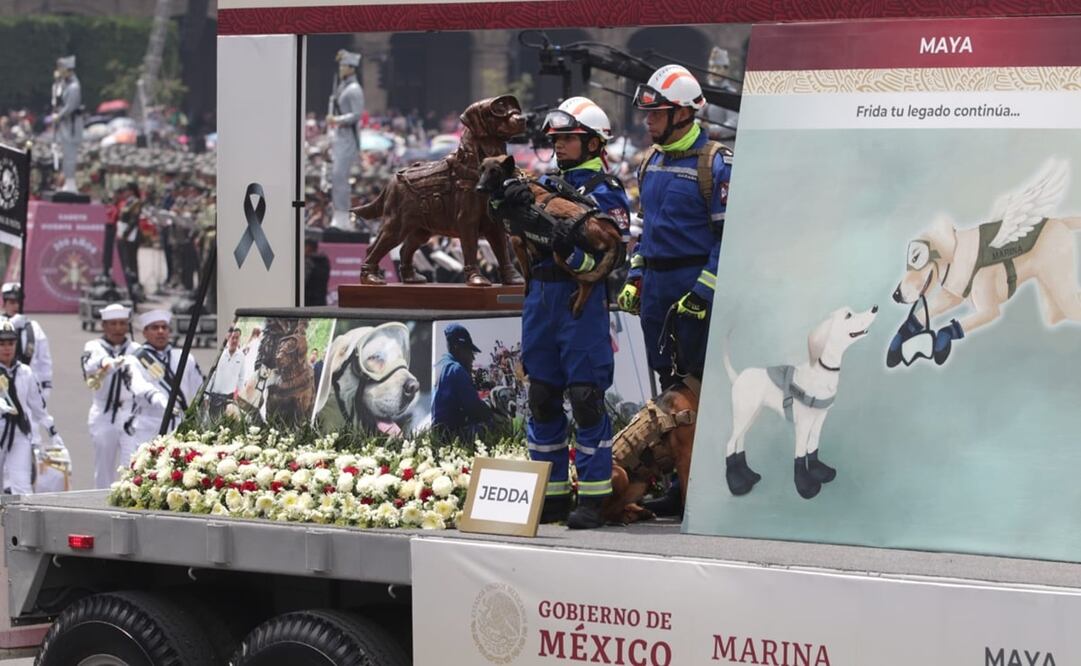 El pasado 15 de noviembre de 2022, la Marina informó que “Frida” había fallecido en la Ciudad de México. Foto: Carlos Odin. EL UNIVERSAL