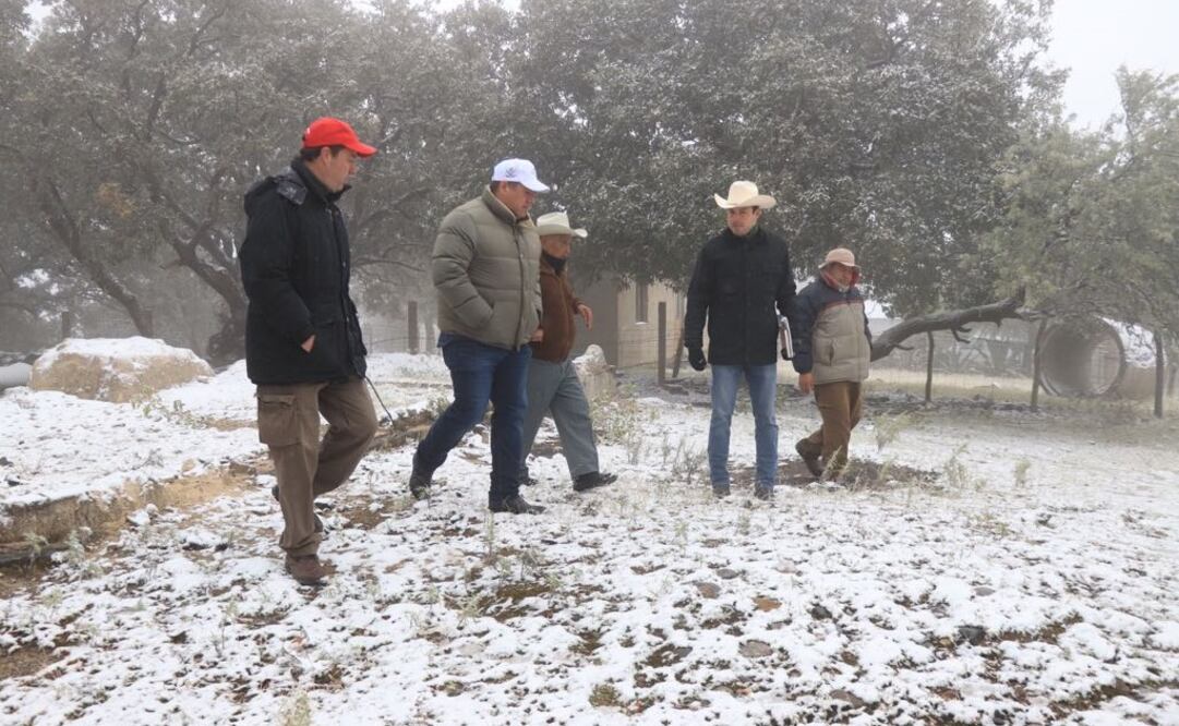 (Foto: Tomada de video)