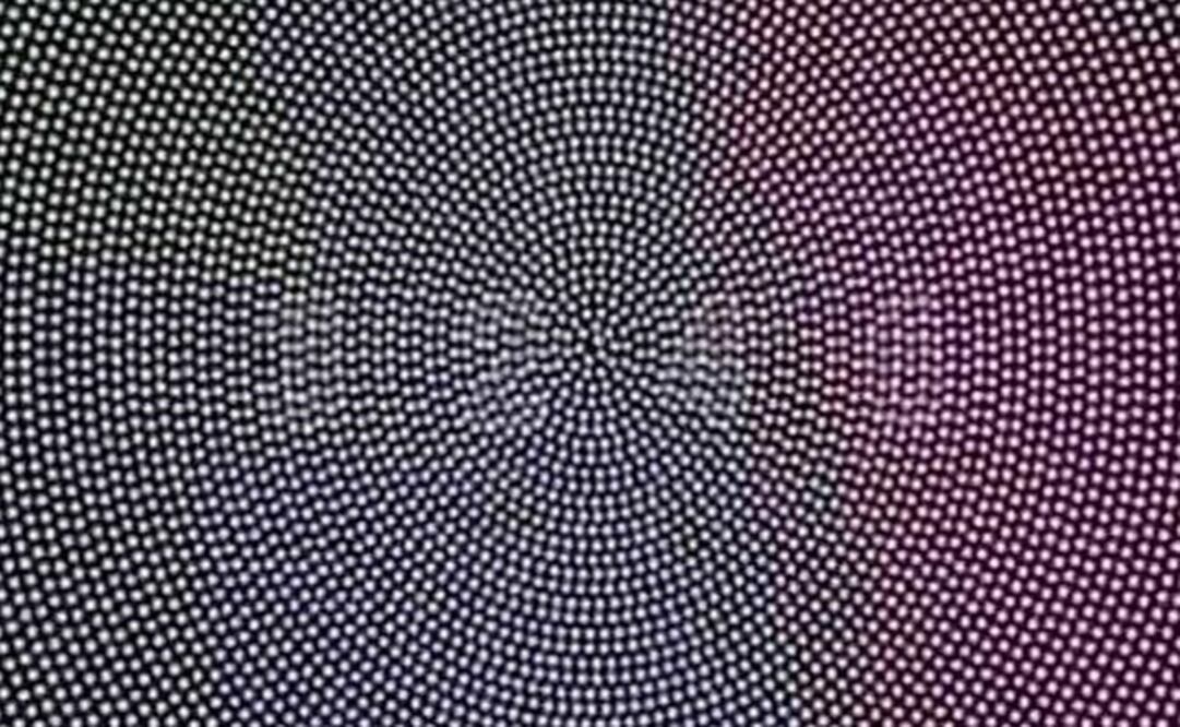 Foto: tomado de redes sociales 