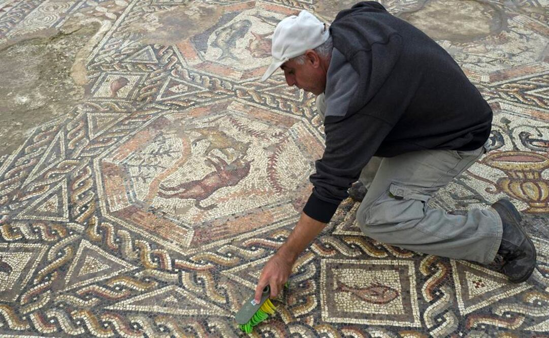 El mosaico contiene animales y formas que en ningún momento aparecen en la Biblia o documentación paralela, por lo que difícilmente artistas locales podrían haberlos hecho. FOTO: Jim Hollander/EFE.