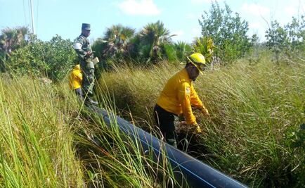 Incendio en reserva ecológica de El Palmar, prácticamente sofocado