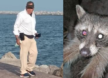 Captan a hombre lanzando químicos a mapaches en Playa Miramar; Profepa solicita apoyo para identificar al agresor