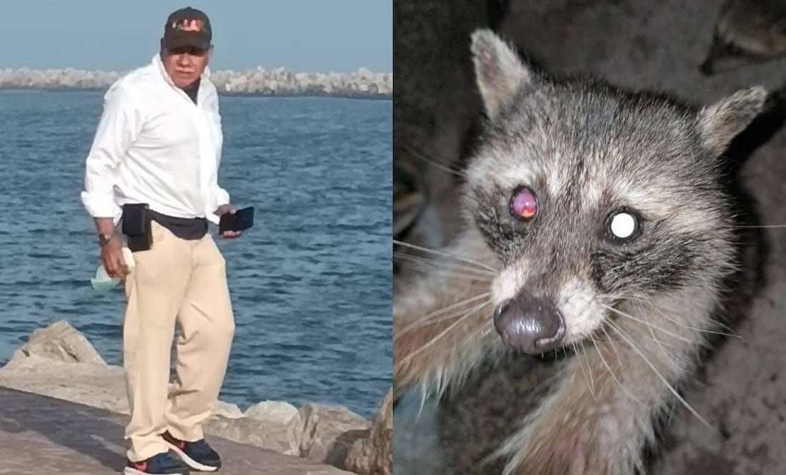 Captan a hombre lanzando ácido a mapaches en Playa Miramar. Foto: Captura
