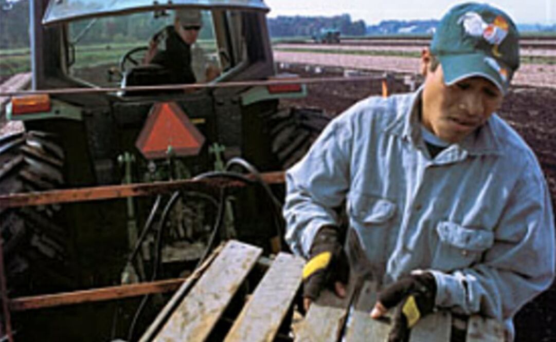 Más del 60% de los latinos vive en California, Texas, Florida y Nueva York. (FOTO: Especial)