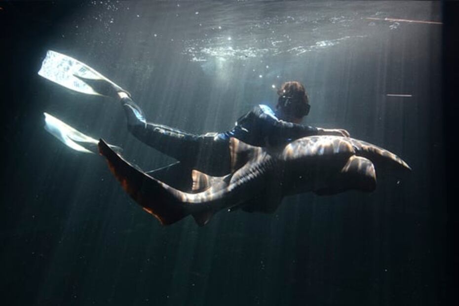 5 actividades que puedes hacer en Mazatlán