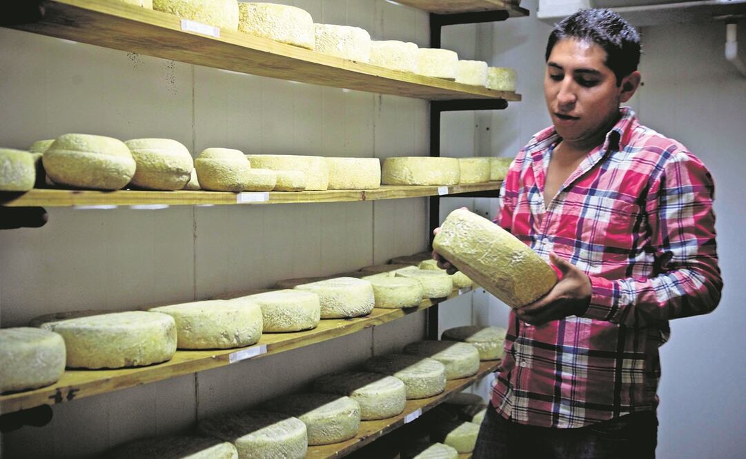 El proyecto plantea certificar los quesos que se venden en México, nacionales o extranjeros. Foto: ARCHIVO EL UNIVERSAL