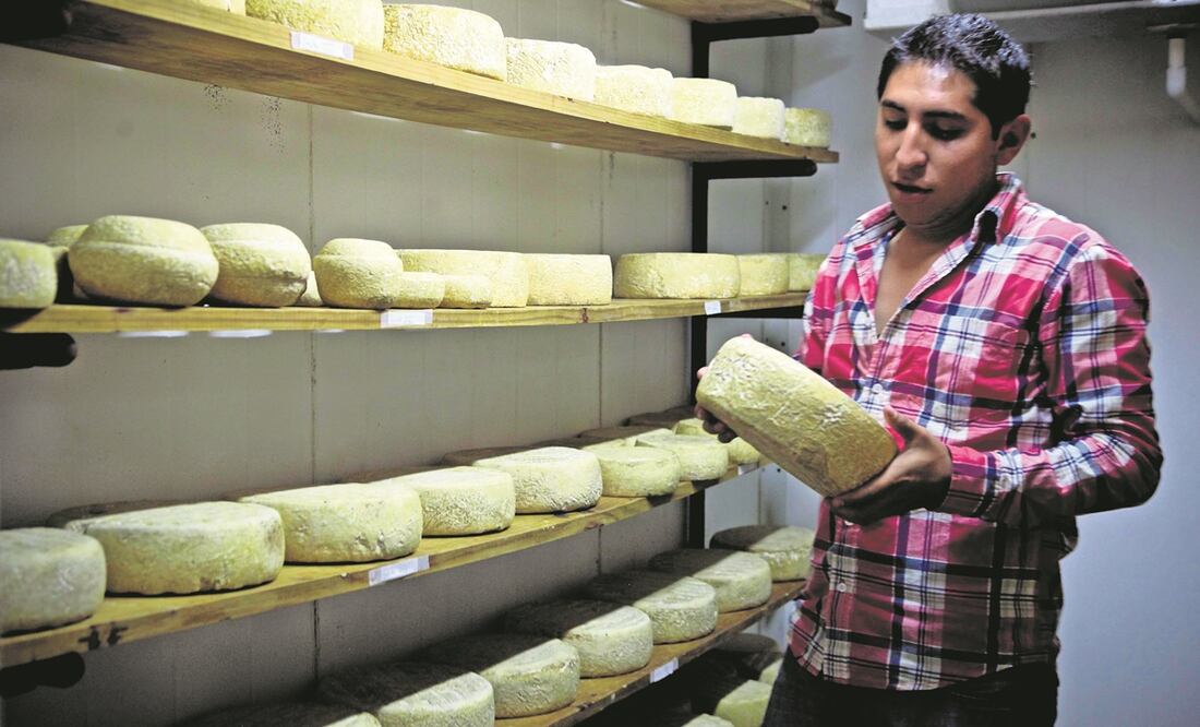El proyecto plantea certificar los quesos que se venden en México, nacionales o extranjeros. Foto: ARCHIVO EL UNIVERSAL