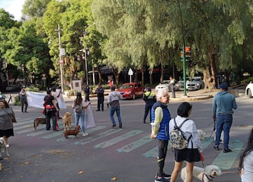 Lomitos bloquean calles de Polanco; sus dueños exigen la reapertura de un parque canino