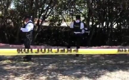 Hallan cráneo humano en manglar del parque de Campeche