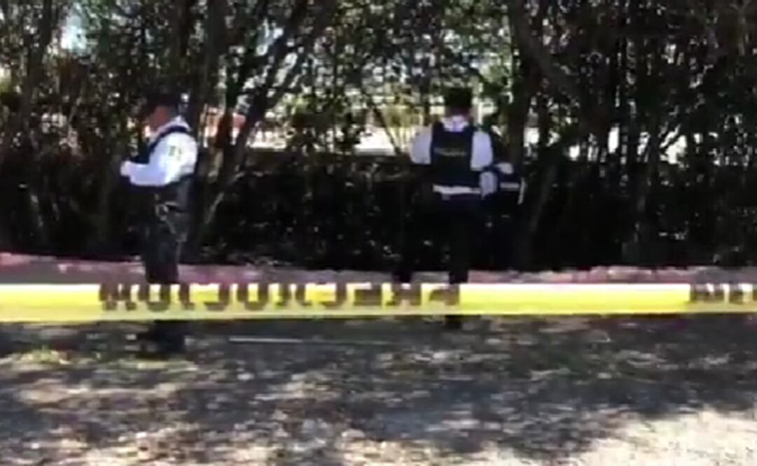 Personal de limpieza del Ayuntamiento de Campeche encontró en el parque un cráneo humano, por lo que se dio aviso a las autoridades policiacas y ministeriales. Foto: Especial