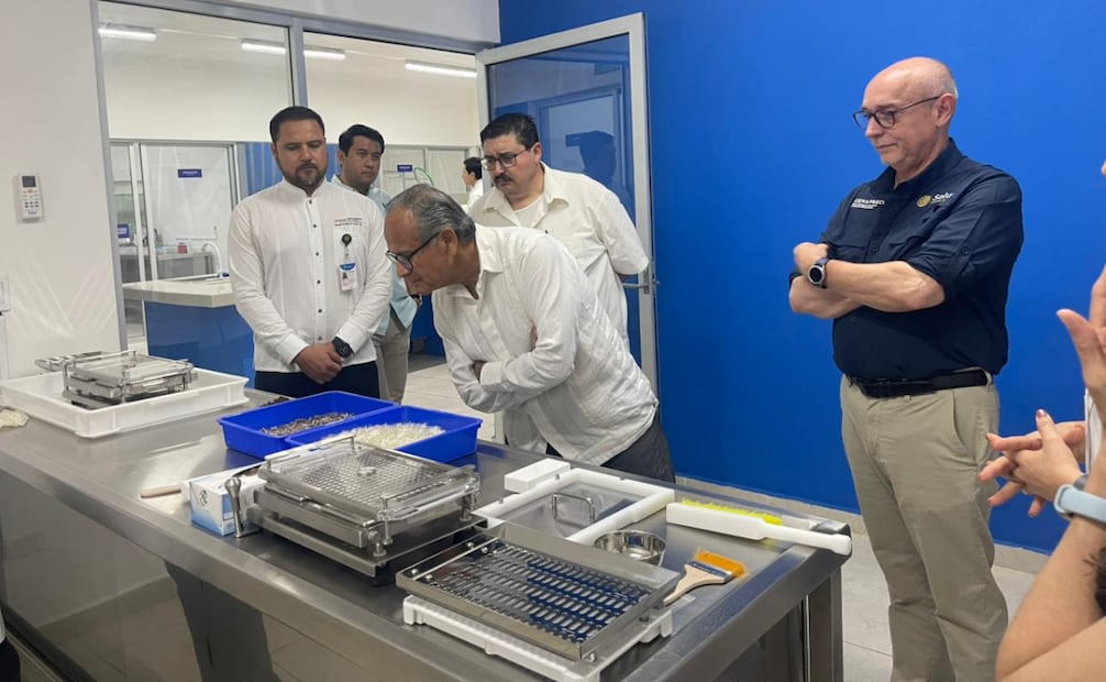 Universidad de Yucatán impulsa mosquitos contra dengue en Yucatán; proyecto se expandirá a más estados
Foto: Especial.