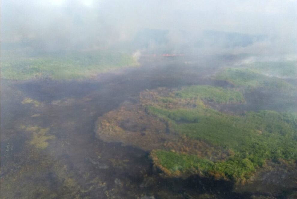 Un incendio en la Biósfera de Dzilam de Bravo, en donde hay vegetación endémica y manglares, movilizó a elementos del Ejército Mexicano y CONAFOR. Foto: Especial