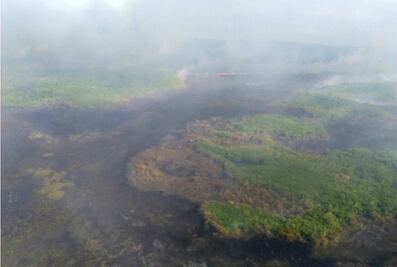Incendio consume Biósfera de Dzilam en Yucatán