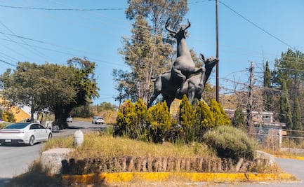Potencian ecoturismo en el Parque de los Ciervos