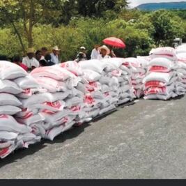 Incumplen plazo para la entrega de fertilizante 