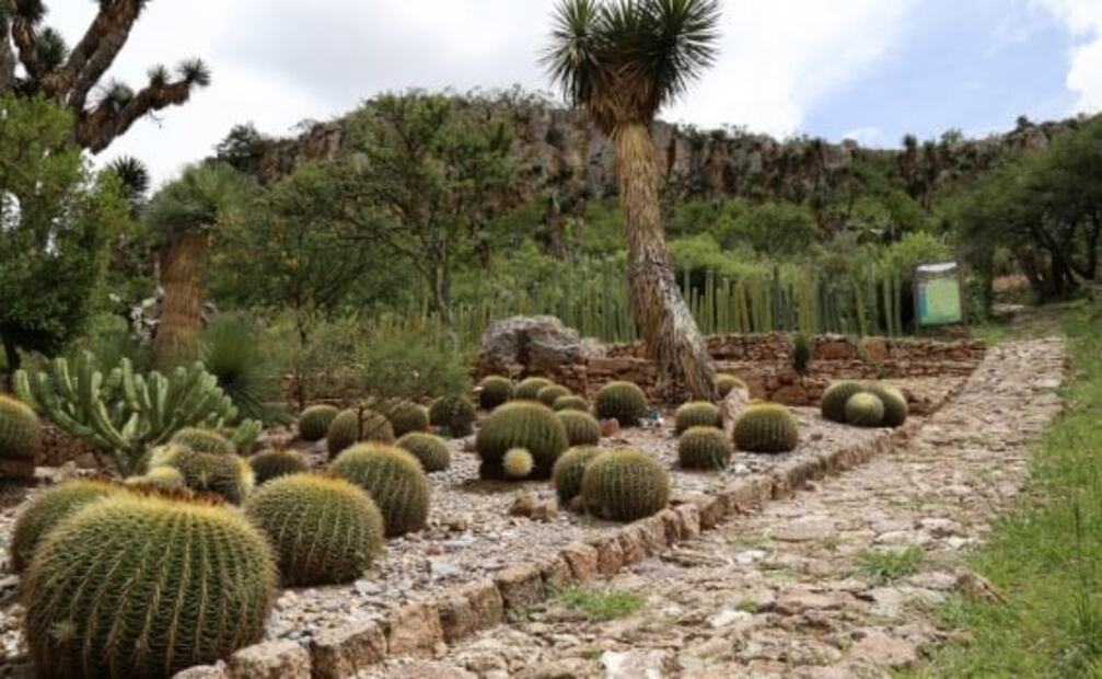 Qué hacer y ver en Cadereyta, Pueblo Mágico de Querétaro