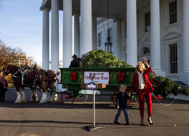 “Tremendo”, el abeto que resistió al huracán Helene y ahora es el árbol de Navidad de la Casa Blanca
