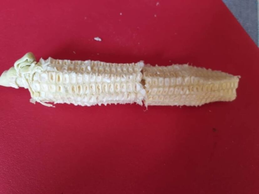 Por mal uso de los beneficios de la ciencia sobrevivimos ahogados en desechos industriales