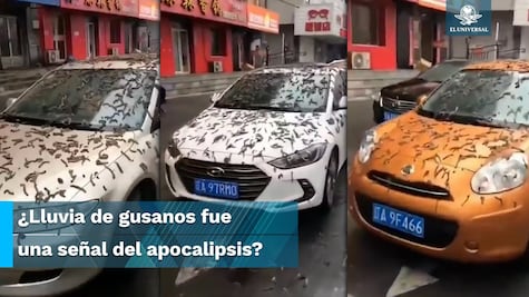 ¿Realmente llovieron gusanos en China?