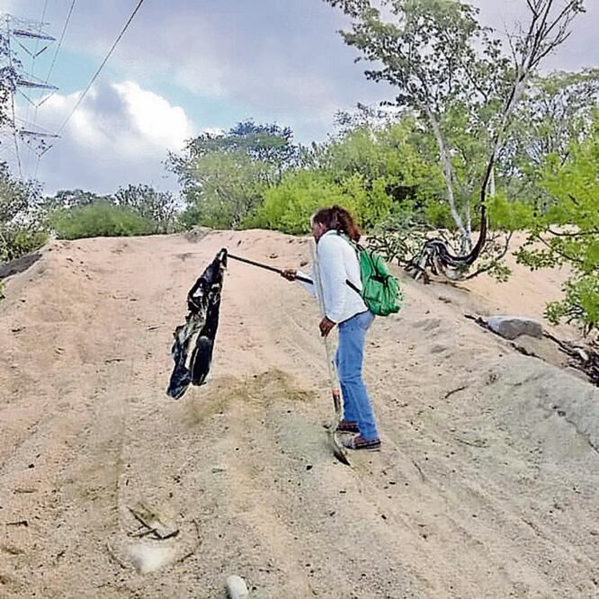 Angustia. Desde hace un par de meses, colectivos de rastreadores realizan cada domingo jornadas de búsqueda en el estado. ARCHIVO EL UNIVERSAL