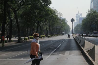 Cofepris: sin registro de decesos por polución