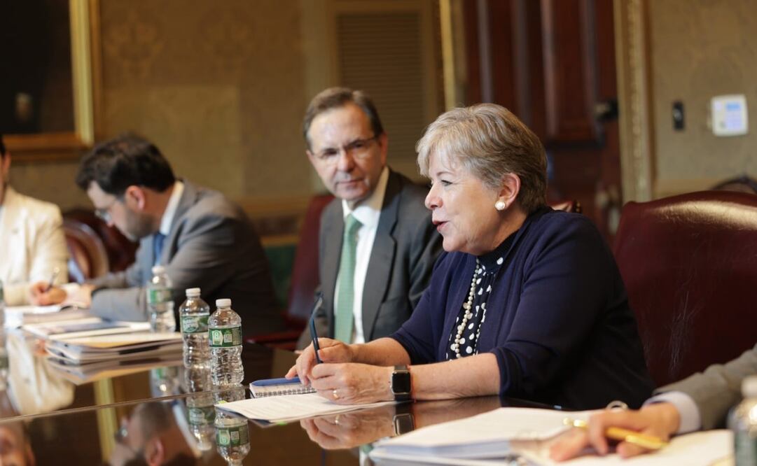 Canciller Bárcena. Foto: Especial