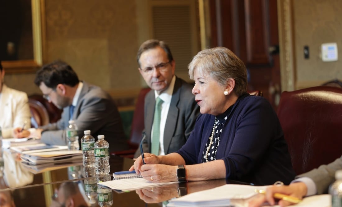 Canciller Bárcena. Foto: Especial