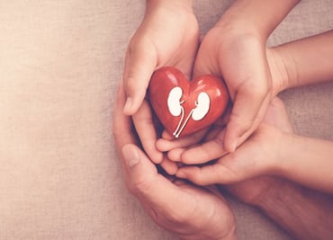 "¿Por qué decidí donar un riñón a una amiga?"