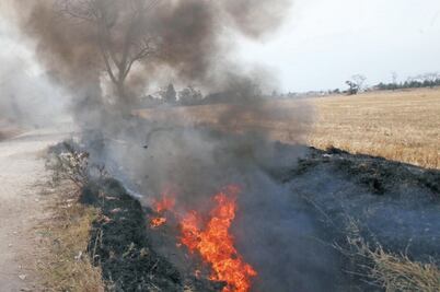 Van contra quemas y pirotecnia en Megalópolis 