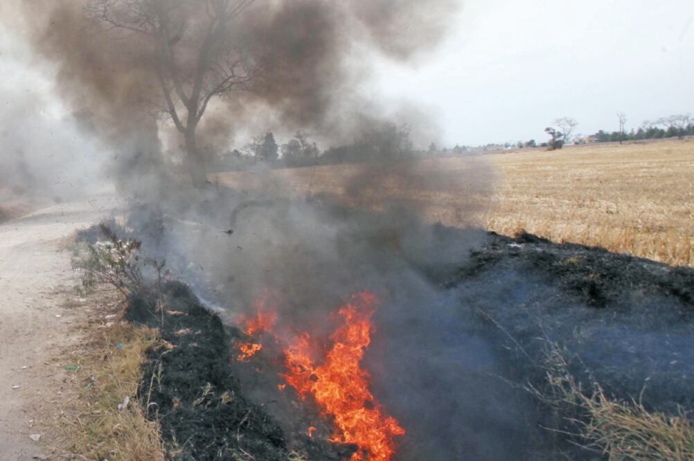 Medida. Las autoridades vigilarán de manera permanente para evitar las quemas a cielo abierto o en lugares no autorizados de cualquier tipo de residuos (ARCHIVO EL UNIVERSAL)