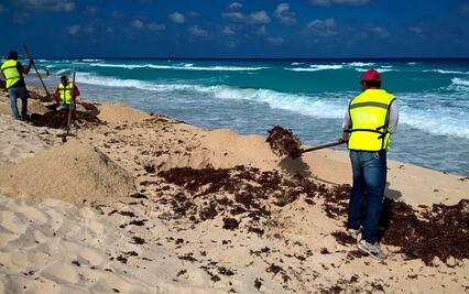 Festejan Día Mundial de la Tierra en Playa del Carmen y Cancún