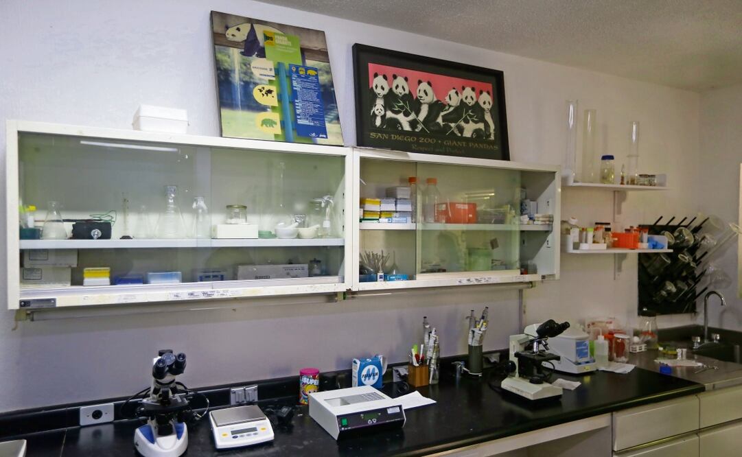 El Laboratorio de Genómica de la Conservación y el Biobanco de Tejidos y de Germoplasma se ubica en el Zoológico de Chapultepec. Foto: Luis Camacho / EL UNIVERSAL