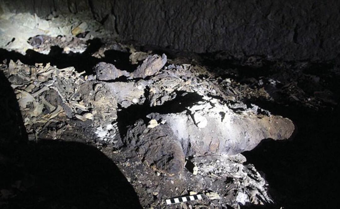 Estos hallazgos han demostrado la importancia del culto de Anubis y los ritos funerarios con animales para la economía del antiguo Egipto. FOTO: P.T. Nicholson; Copyright Antiquity Trust