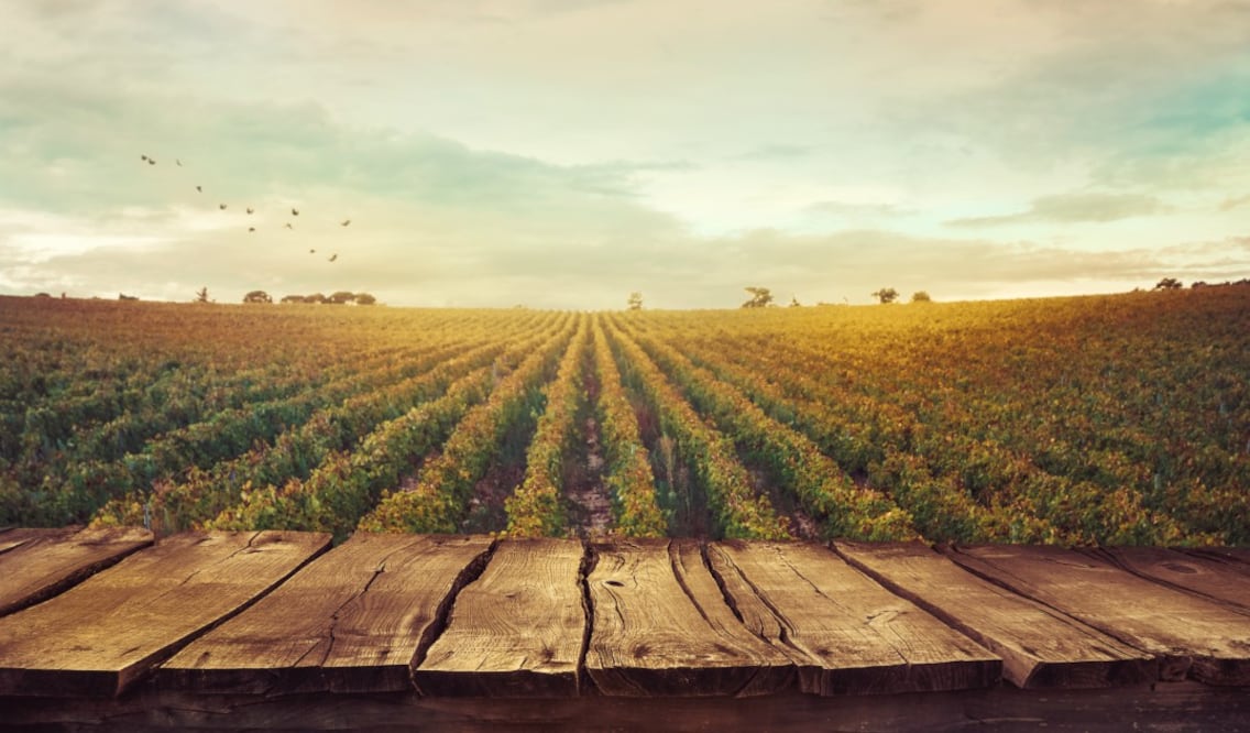 En esta ruta podrás hacer tu propio vino y descubrir joyas que no aparecen en los itinerarios comunes.(Foto: Istock)