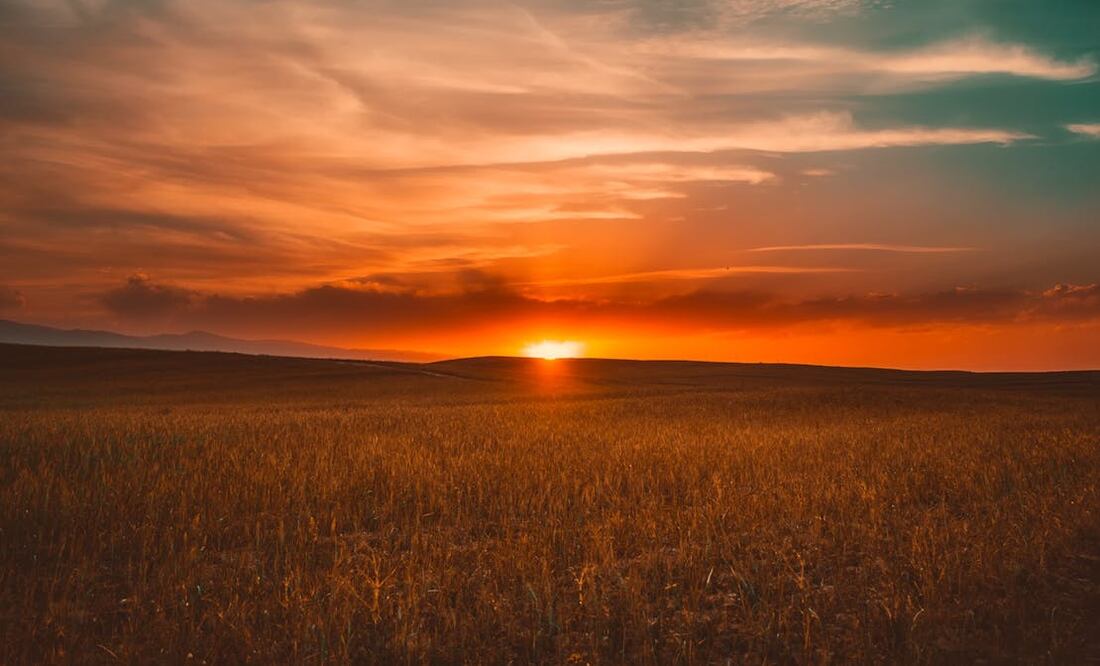Conoce cuándo será el día más corto del año. Foto: Pexels