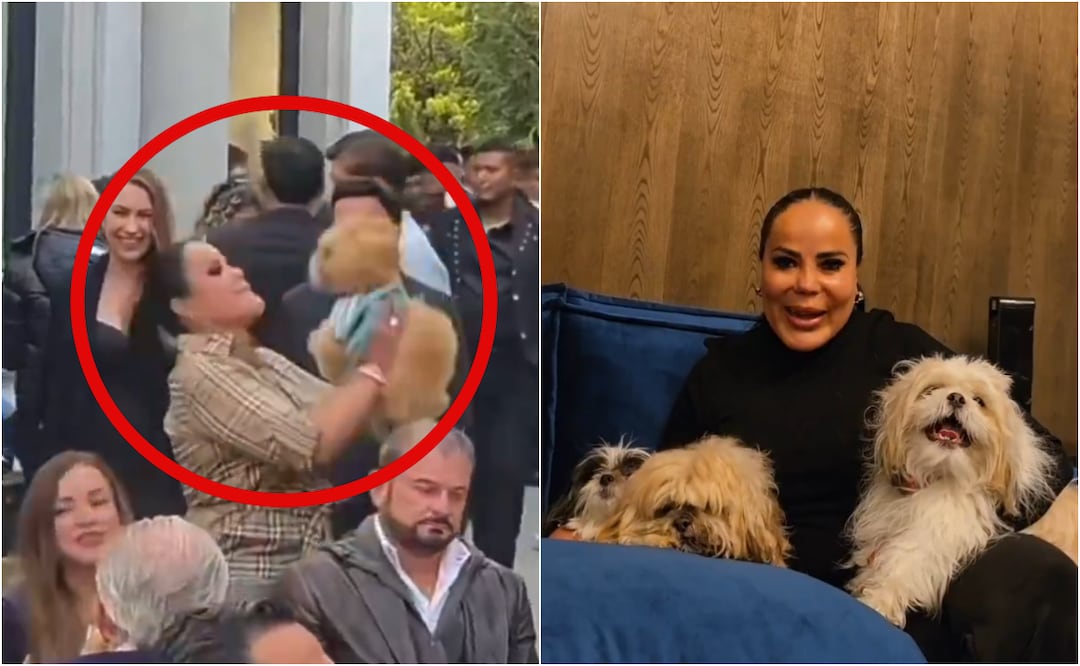 Luego de que el video se hiciera viral, la bogada de las estrellas respondió a las acusaciones por maltrato animal. Foto: X