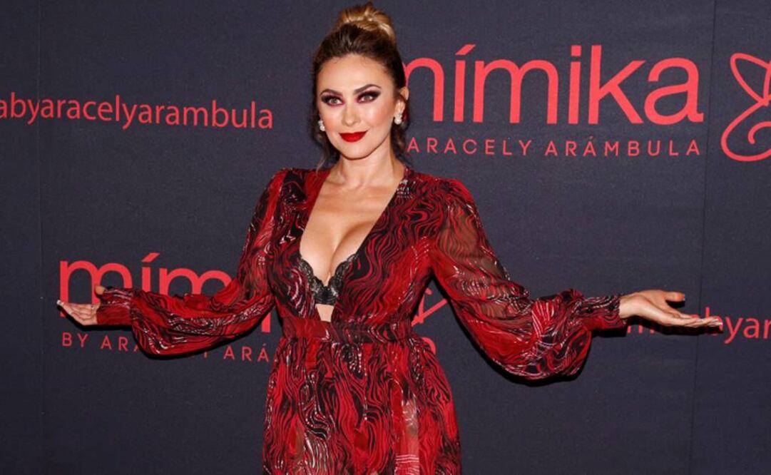 Aracely Arámbula lució sus curvas en bikini FOTO: ARCHIVO