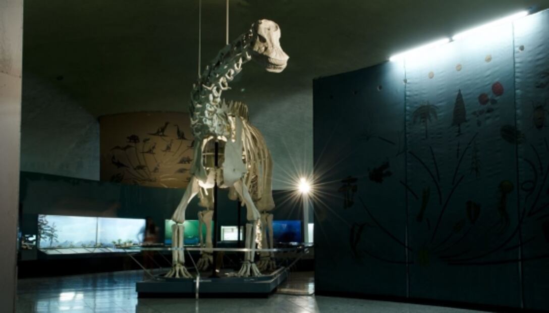 Museos abiertos en la CDMX