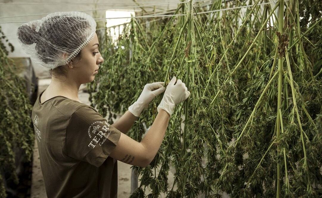 Foto ilustrativa: Pixabay