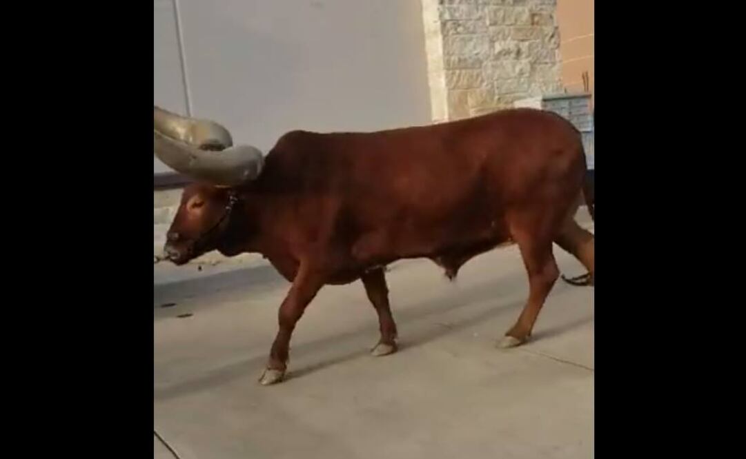 Foto: Captura de video