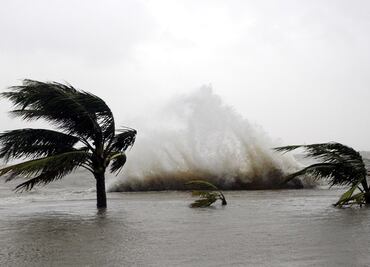 Los gobiernos deben hacer aún más para frenar cambio climático: WEF