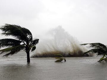 Los gobiernos deben hacer aún más para frenar cambio climático: WEF