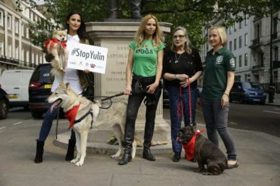 Por favor, ¡no se coman a los perros!